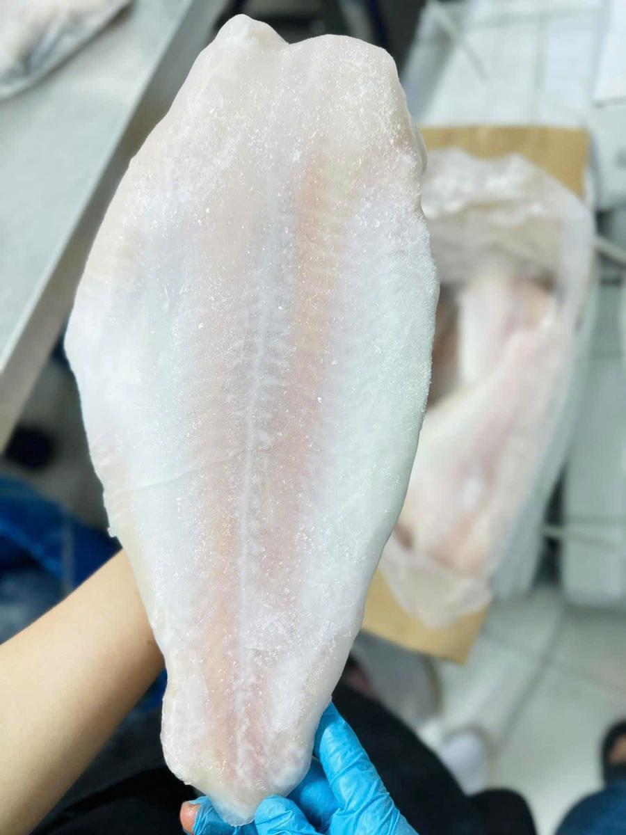Cá basa fillet