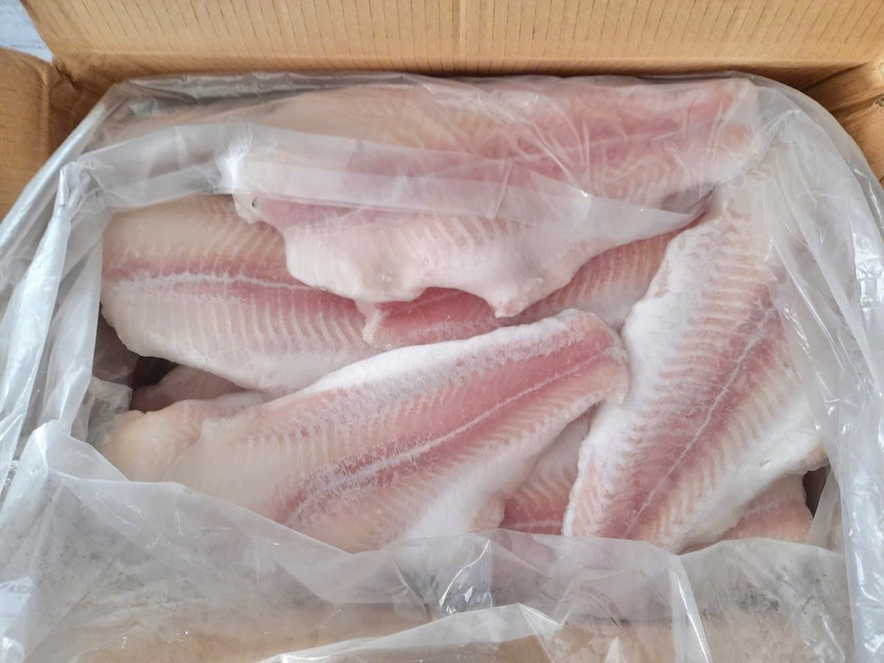 Cá basa fillet