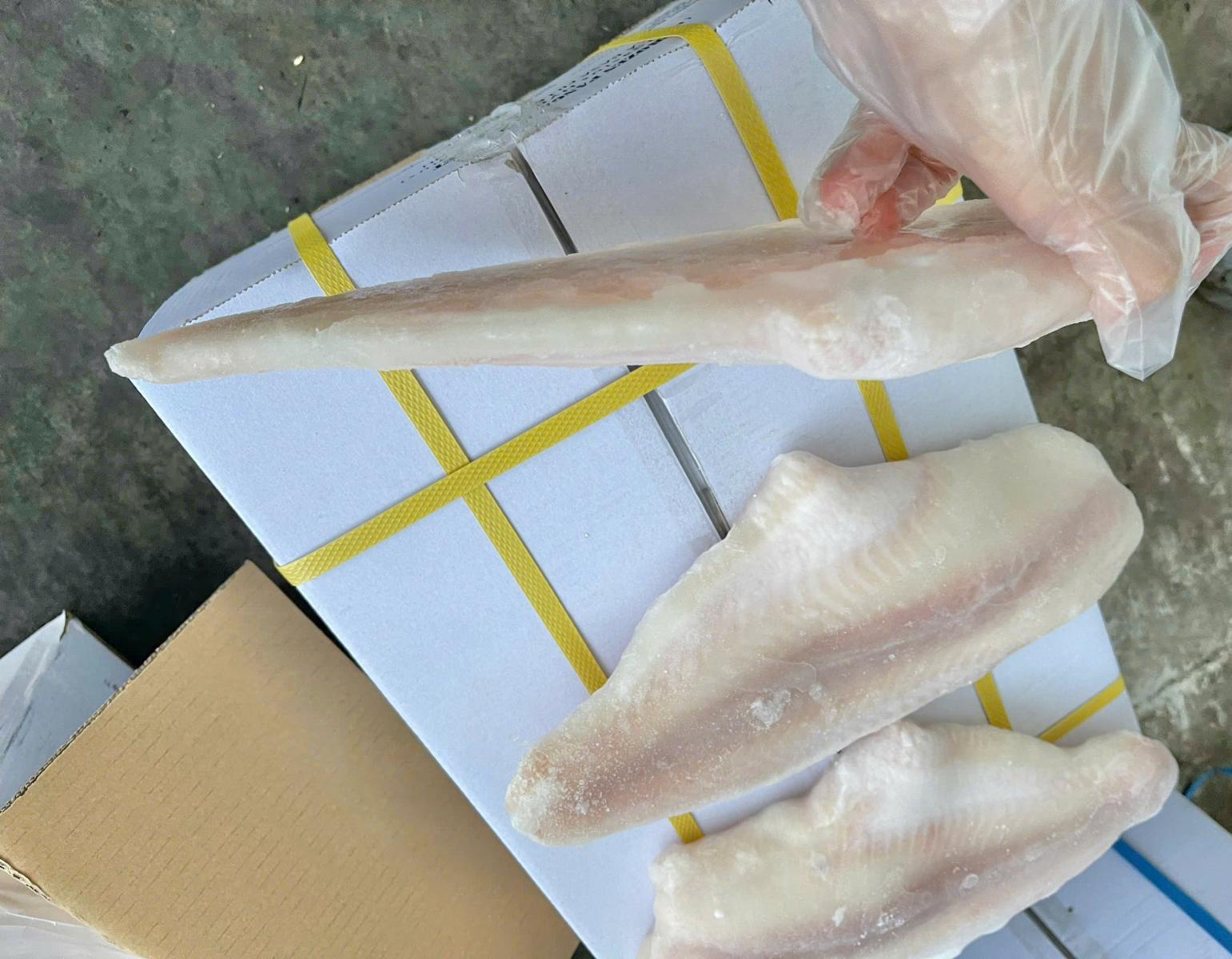 Cá basa fillet